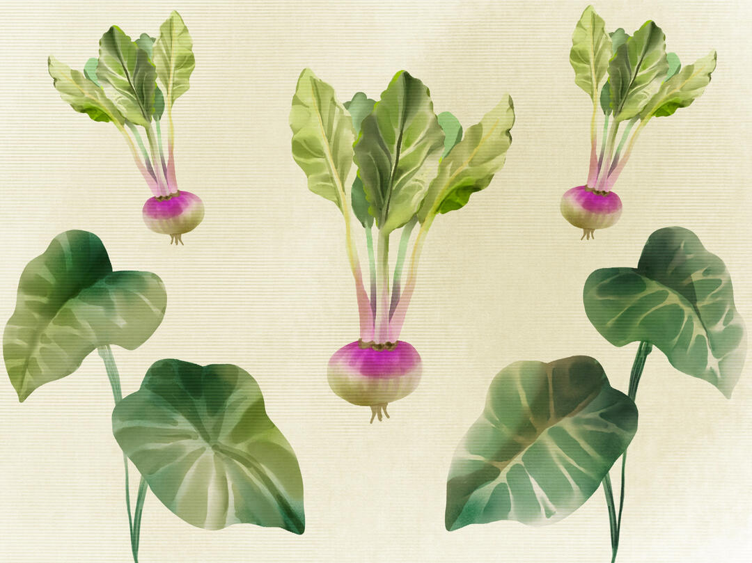 2023 Switching Position